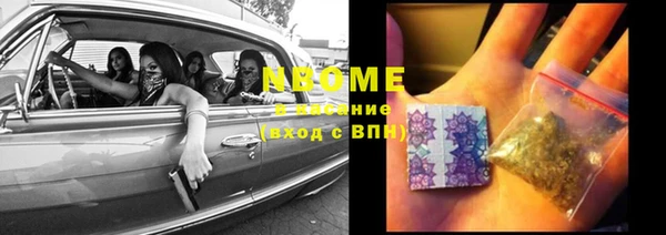 сатива Новодвинск